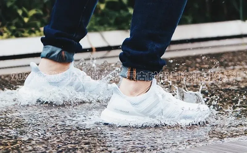 龙八头号玩家账号